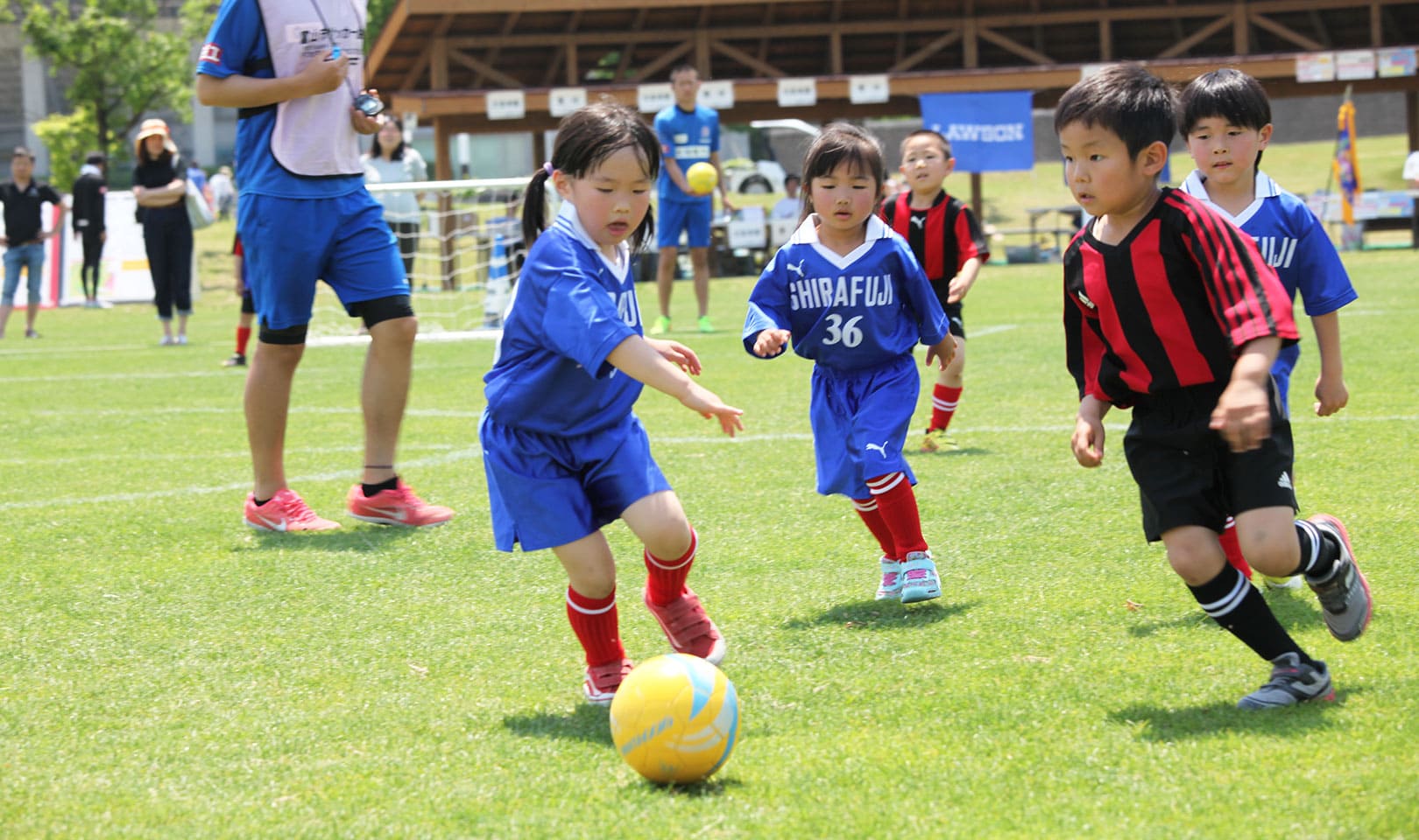 スポーツマネジメント部